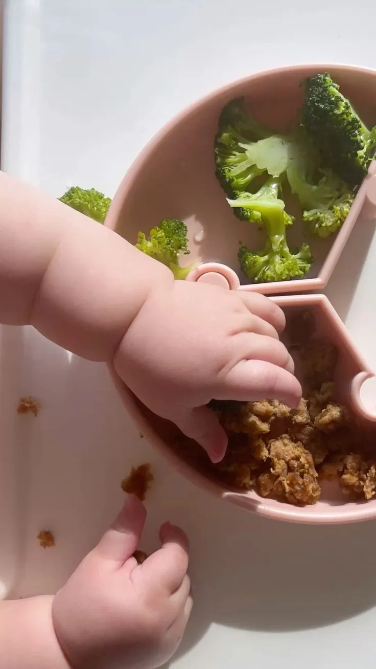 Mani di un bambino piccolo che afferrano broccoli e carne sminuzzata da un piatto rosa a scomparti